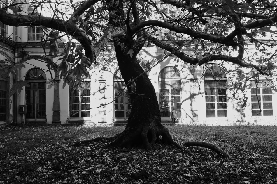 GEP 2020 - La Soprintendenza archivistica e bibliografica della Campania partecipa all'apertura e alle visite guidate della sede storica dell'Archivio di Stato di Napoli